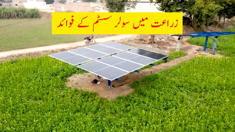 Benefits of Solar Energy Systems in Agriculture